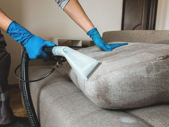 Carpet/ Floor / Upholstery Cleaning service